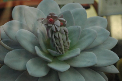 28.12.2008_037.jpg