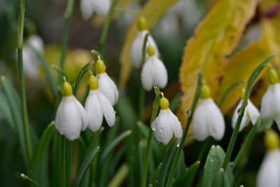 Ein Gartenfund am passenden Standort