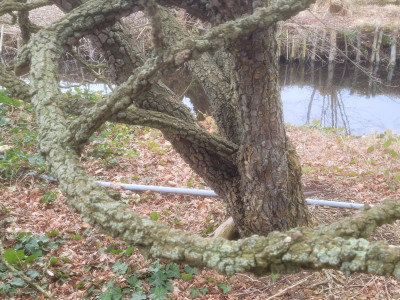 20260220_131128.jpg