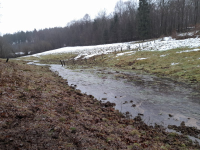 20260222_154542.jpg