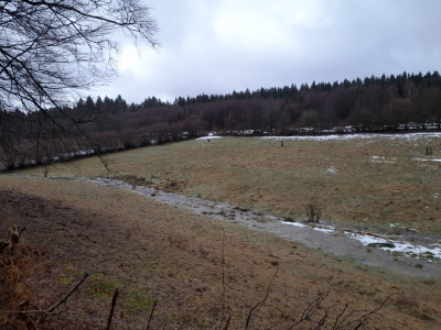 20260222_164152.jpg