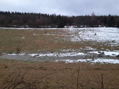 20260222_164148.jpg