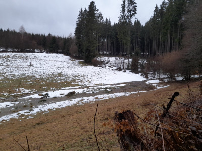 20260222_164145.jpg