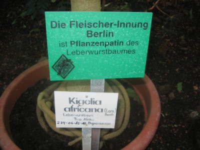 Patenschaft_28961.jpg
