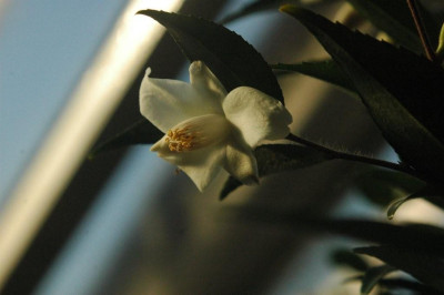 28.12.2008_065.jpg