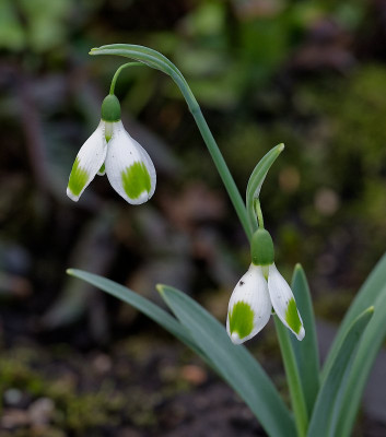 DSC_9799_DxO.jpg