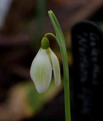 DSC_9801_DxO.jpg