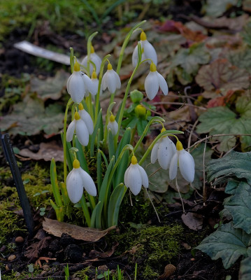 DSC_9812_DxO.jpg