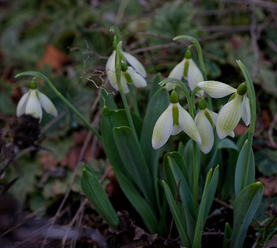 DSC_9802_DxO.jpg