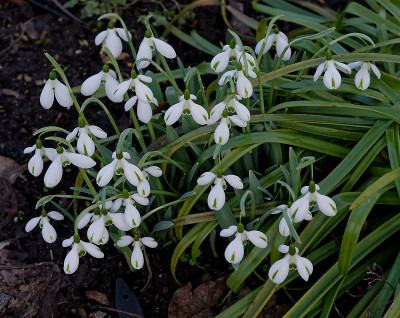 DSC_9803_DxO.jpg