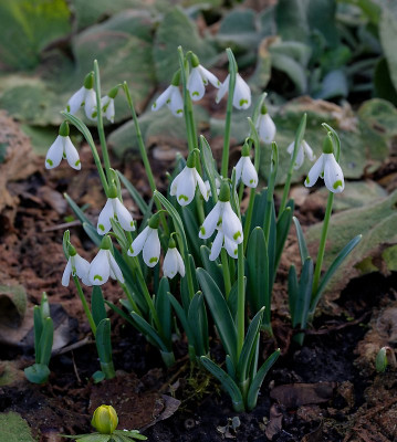 DSC_9808_DxO.jpg