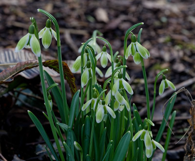 DSC_9809_DxO.jpg