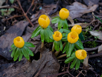 DSC_9804_DxO.jpg