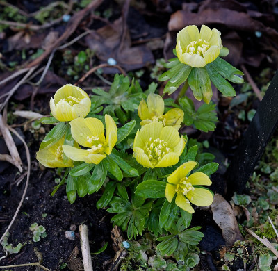 DSC_9805_DxO.jpg