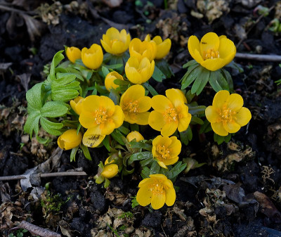 DSC_9807_DxO.jpg