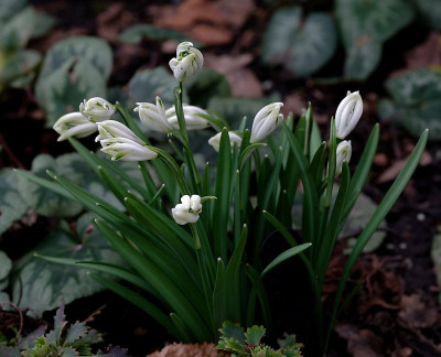 DSC_8317_DxO_DxO.jpg