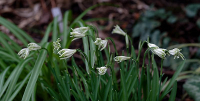 DSC_8318_DxO_DxO.jpg