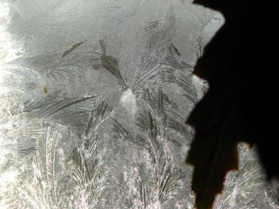 eisblumen1.jpg