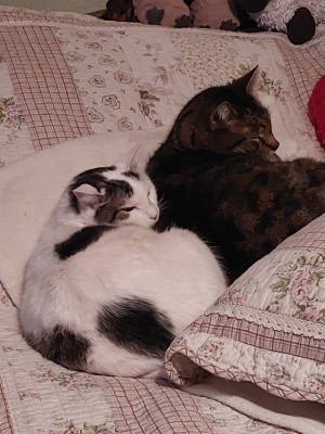 20260211_171640.jpg