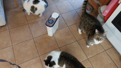 IMG-20260221-WA0011.jpeg