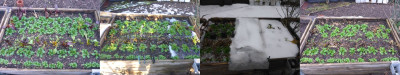 23.12._16.01._07.02.(linkes Drittel für Foto abgedeckt)_24.02.