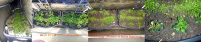 20260108_+16_während +nach Superfrost_22.02. gesamt &amp; Detail