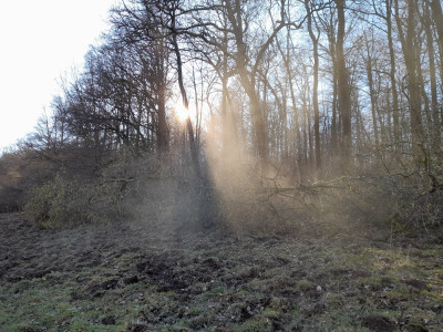 20260225_151023.jpg