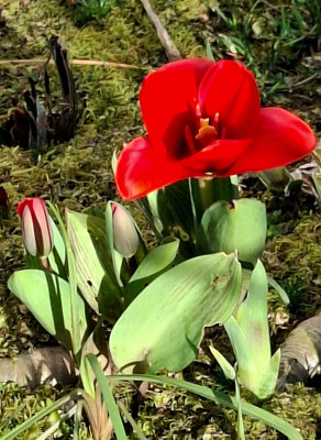 20260225_153933.jpg