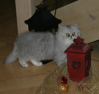 IMG_4882b.jpg