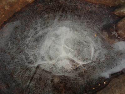 eis2008_1.jpg