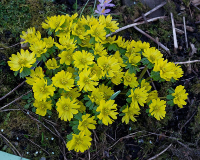 DSC_9817_DxO.jpg