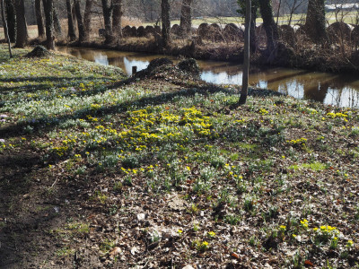 Park  26.2.26 3 ue.JPG