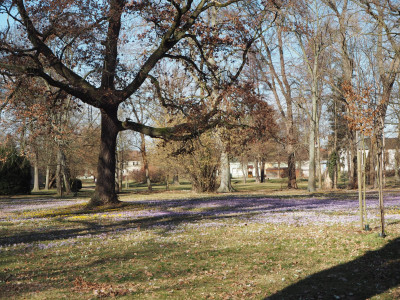 Park 26.2.26 2 ue.JPG