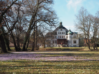 Park 26.2.26 ue.JPG