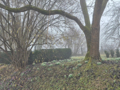 20260225_120205.jpg