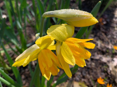 IMG_3404.jpeg