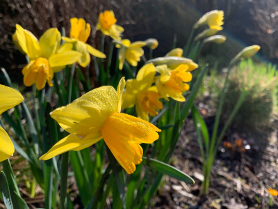 IMG_3406.jpeg