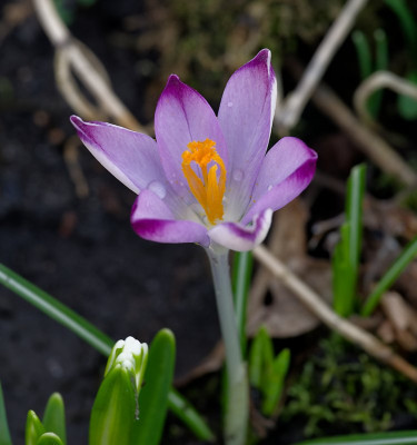 DSC_9841_DxO.jpg