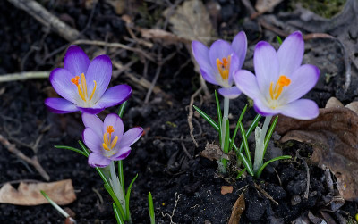 DSC_9842_DxO.jpg