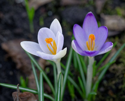 DSC_9843_DxO.jpg