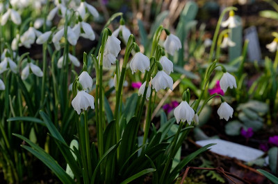 DSC_9836_DxO.jpg
