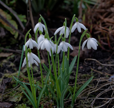 DSC_9828_DxO.jpg