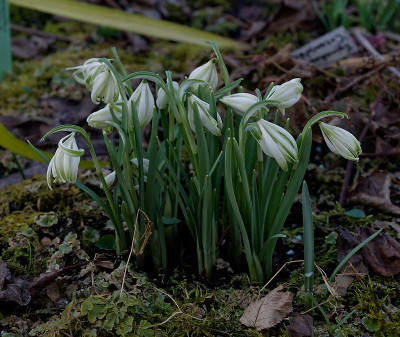 DSC_9829_DxO.jpg