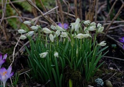 DSC_9830_DxO.jpg