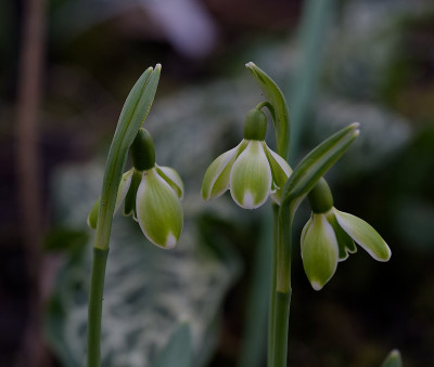 DSC_9831_DxO.jpg