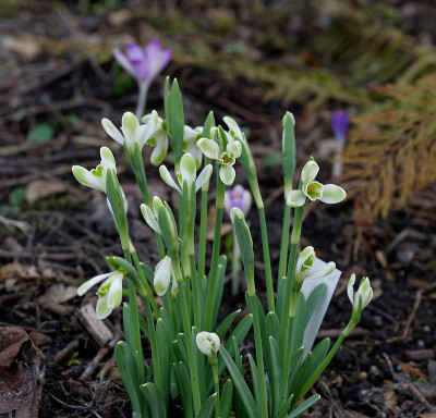 DSC_9837_DxO.jpg