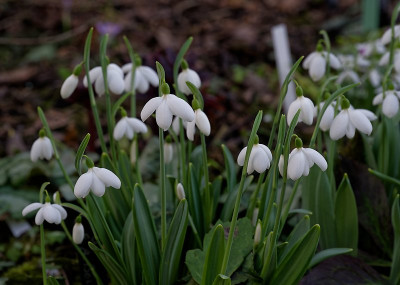 DSC_9840_DxO.jpg