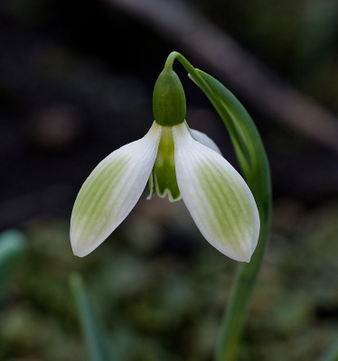 DSC_9839_DxO.jpg