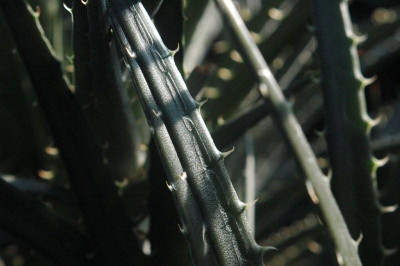 28.12.2008_086.jpg