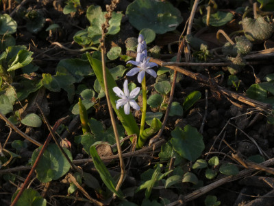P1050735.JPG